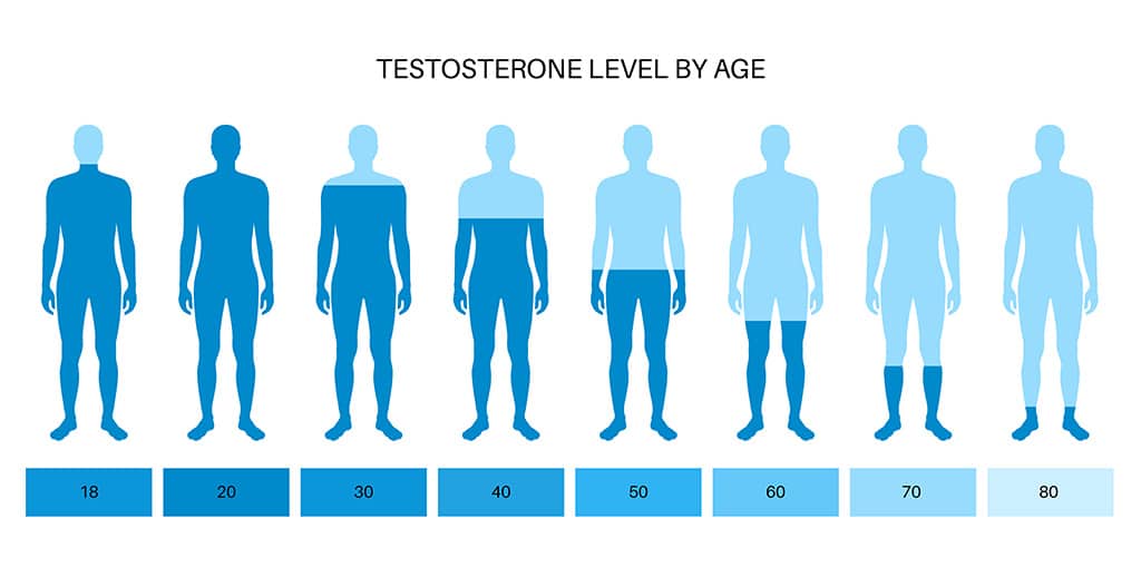 Testosterone-estrogen