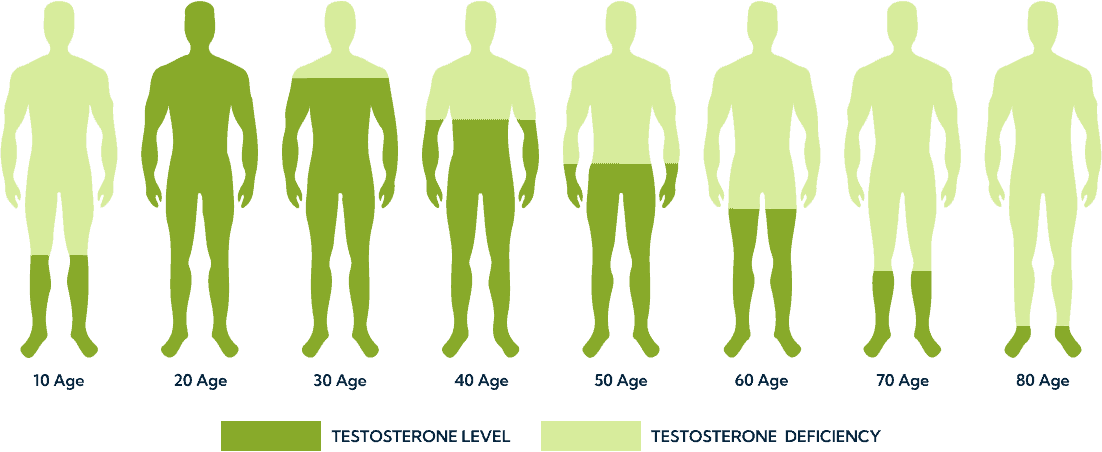 Testosteronal Hormone Level